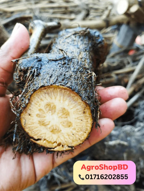 মিক্সড চুই-ঝাল ১ কেজি - Image 5